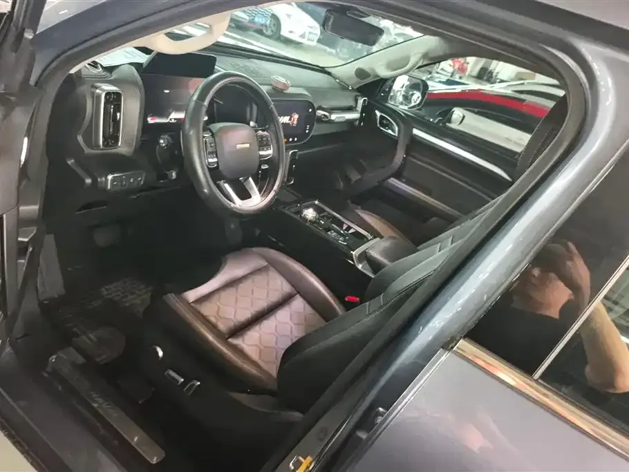 Haval Big Dog 2022 из CN, фото 7