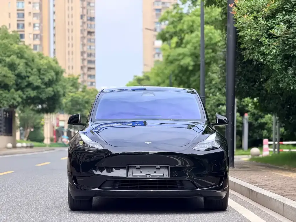 Tesla Model Y — фото 3