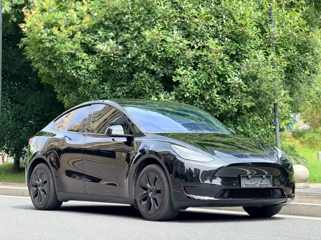 Tesla Model Y — фото 8