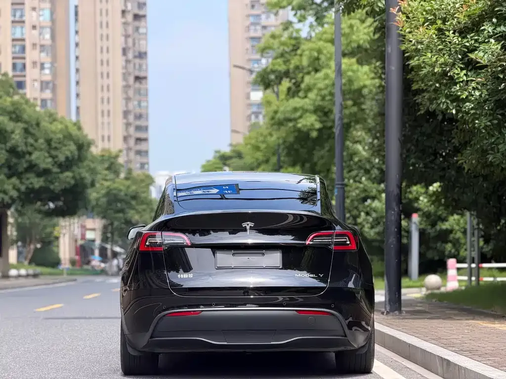 Tesla Model Y — фото 4