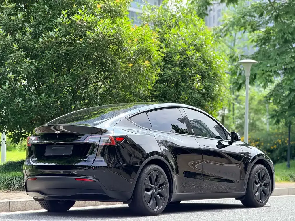 Tesla Model Y — фото 10