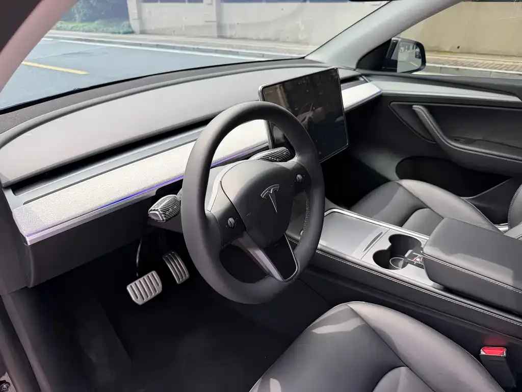 Tesla Model Y — фото 9
