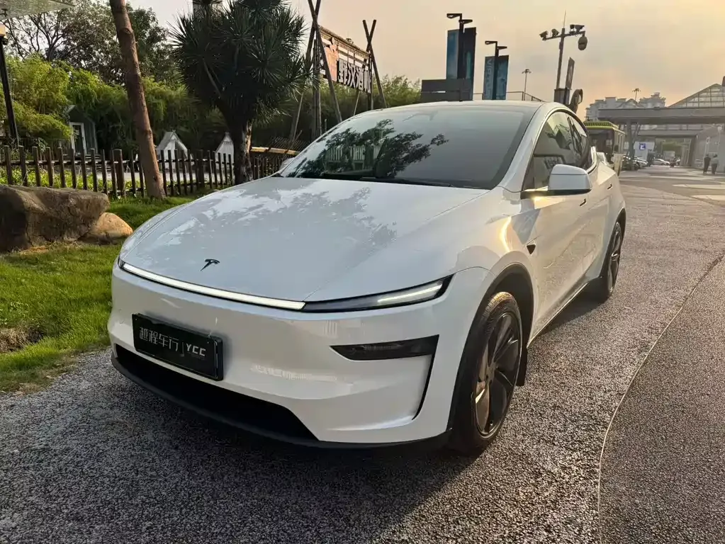 Tesla Model Y — фото 1