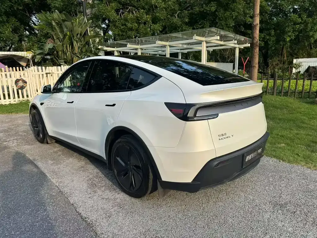 Tesla Model Y — фото 9