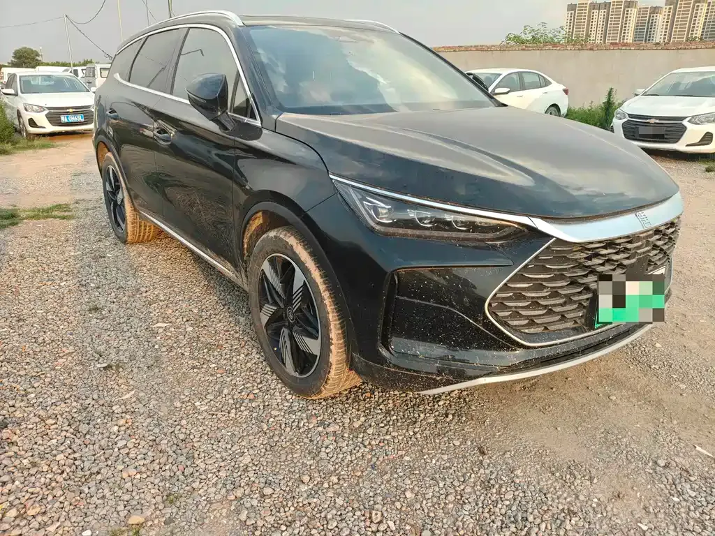BYD Tang New Energy 2024 из CN, фото 3