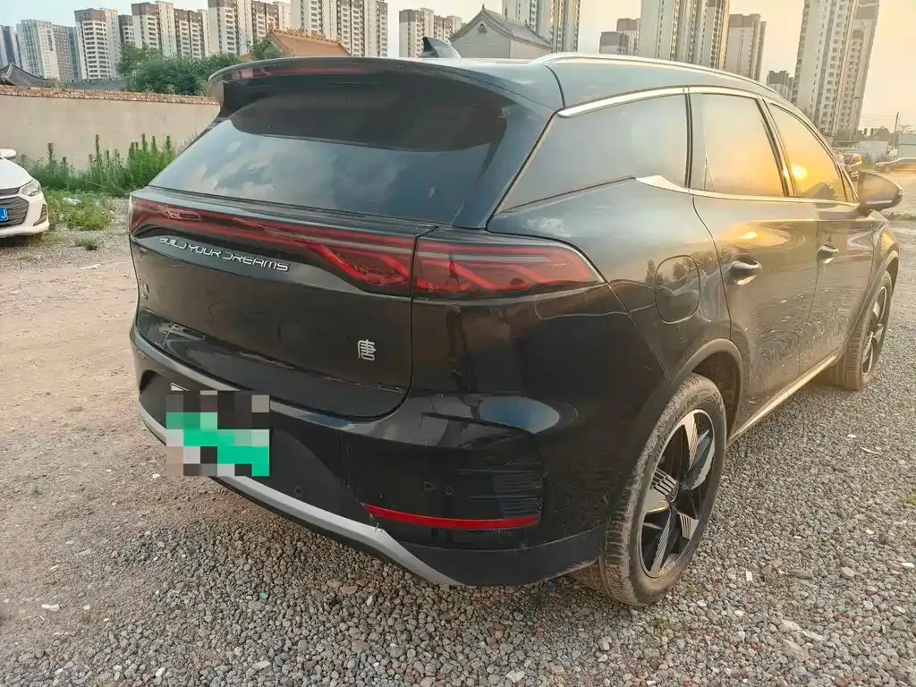 BYD Tang New Energy 2024 из CN, фото 7