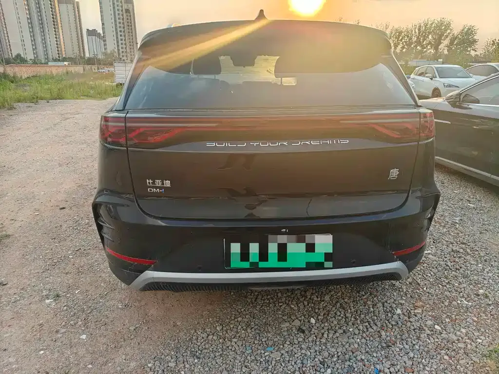 BYD Tang New Energy 2024 из CN, фото 2