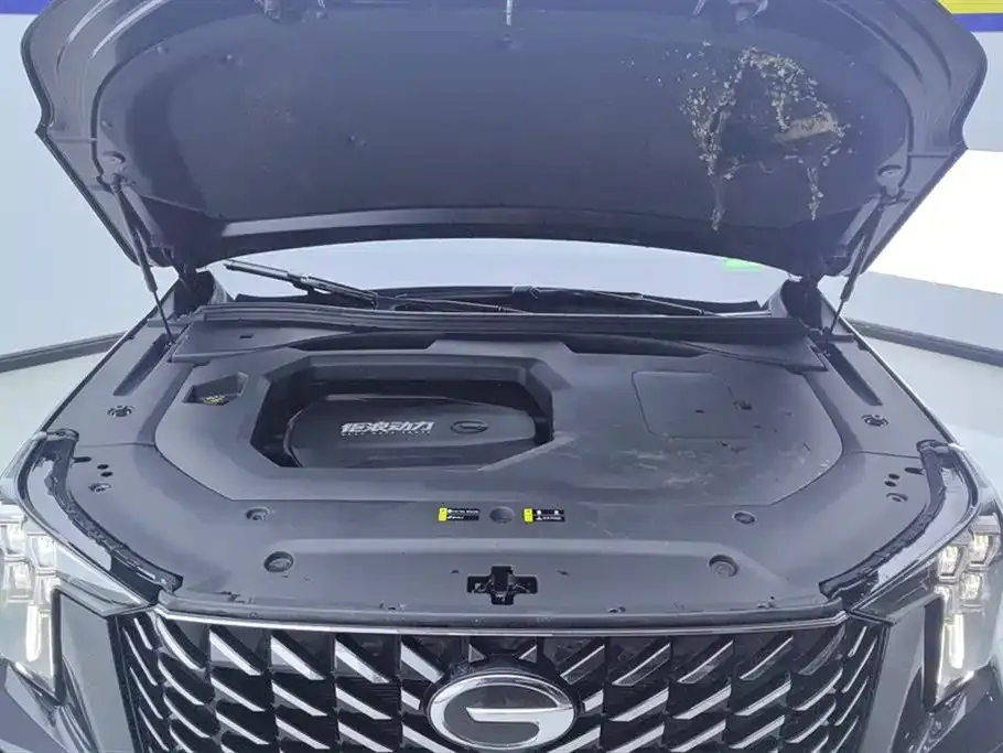 GAC Motor Trumpchi GS8 — фото 4