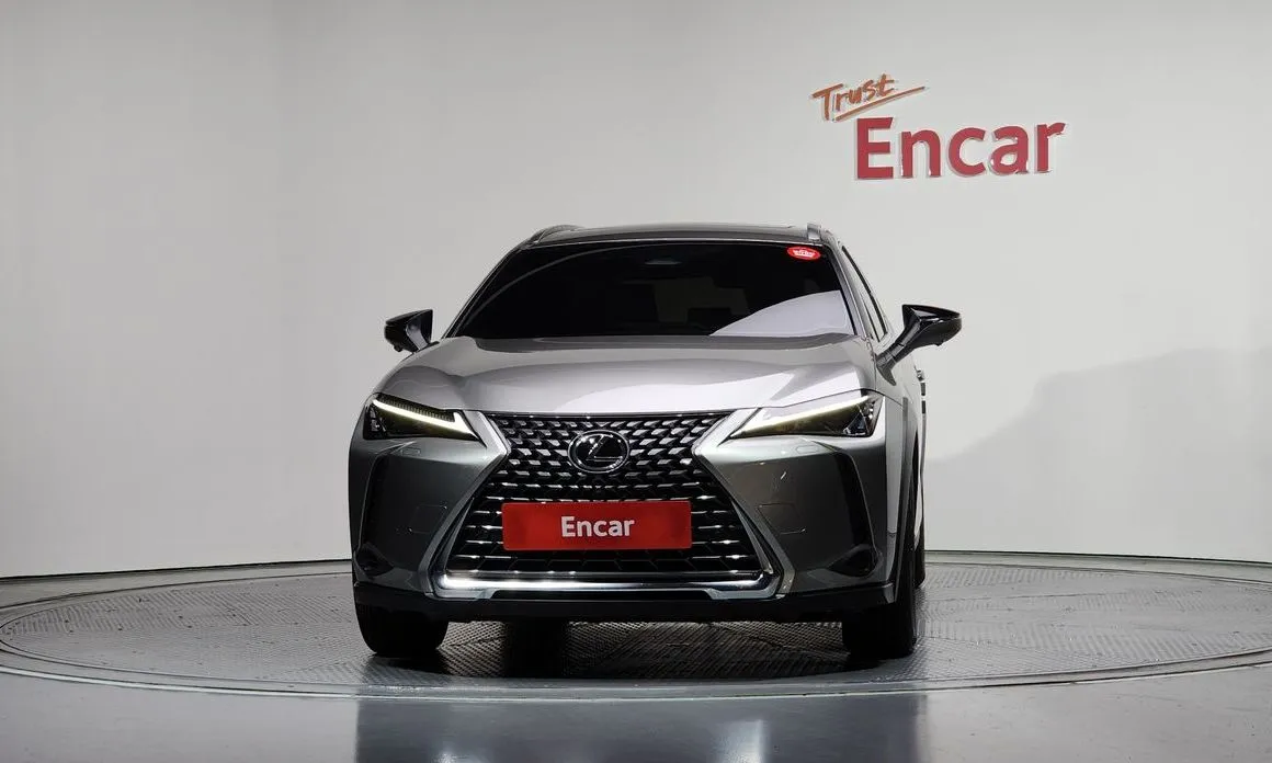Lexus UX 2025 из KR, фото 9