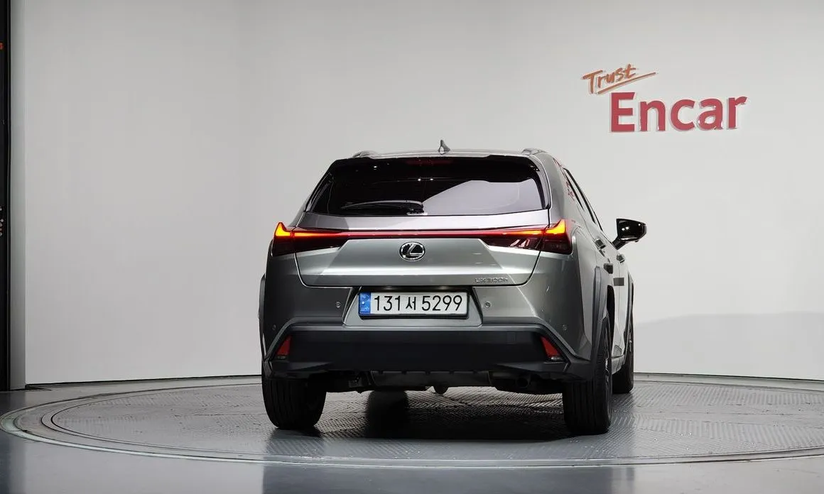 Lexus UX 2025 из KR, фото 8