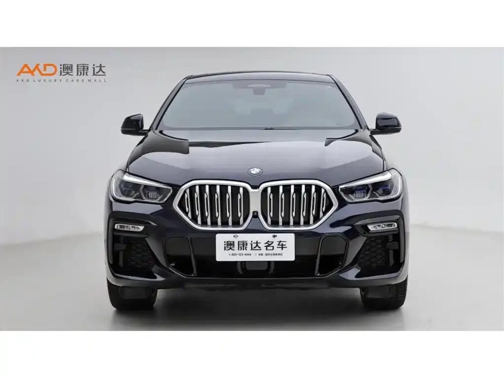 BMW X6 2021 из CN, фото 5