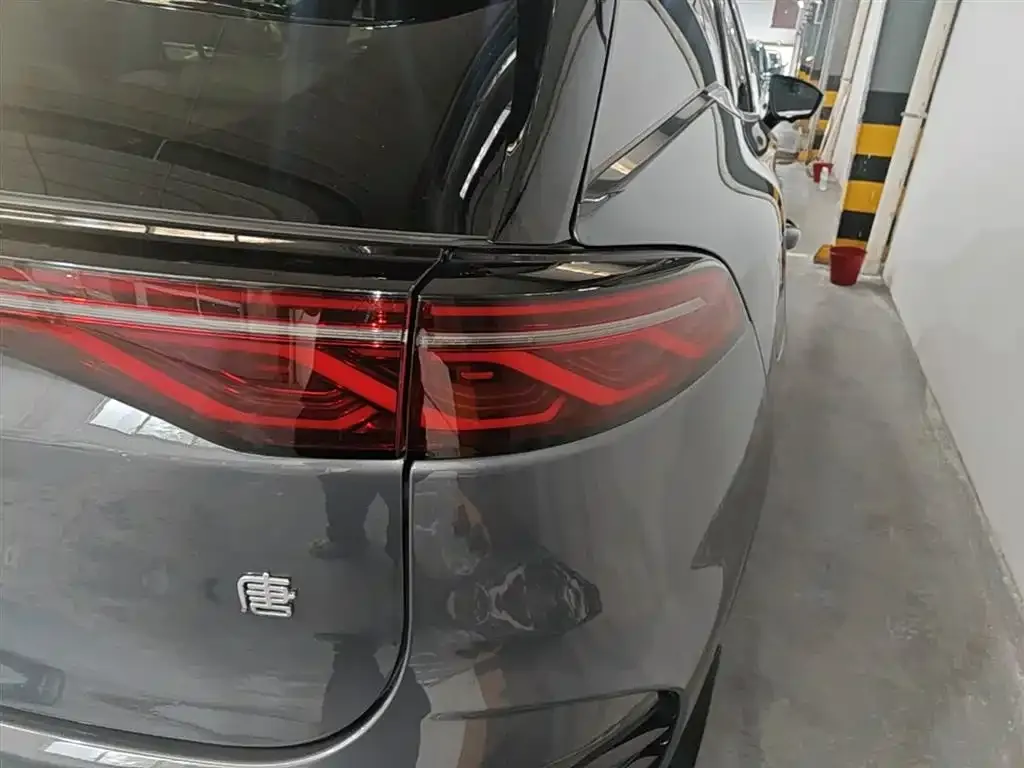 BYD Tang New Energy — фото 4