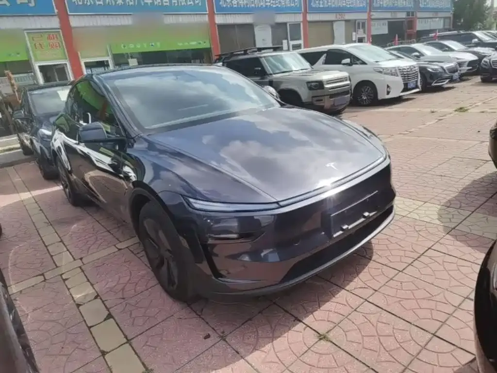 Tesla Model Y — фото 10