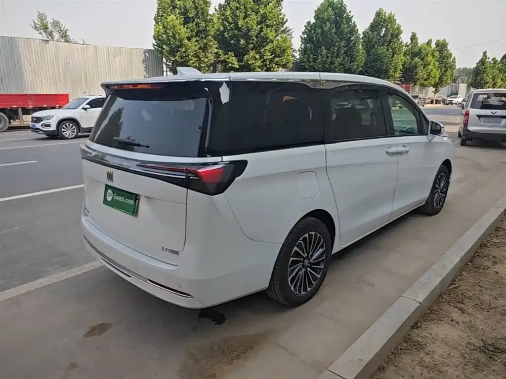 Buick GL8 Hybrid 2025 из CN, фото 5