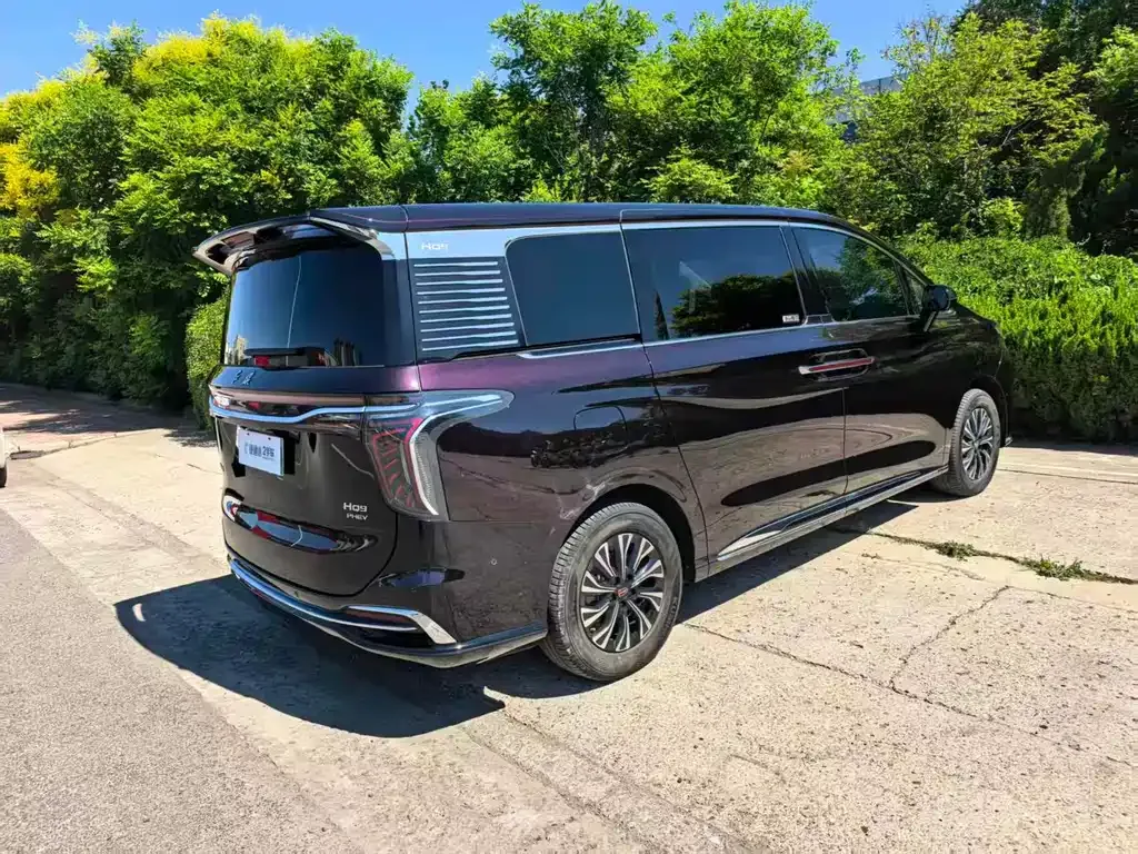 Hongqi HQ9 PHEV — фото 10