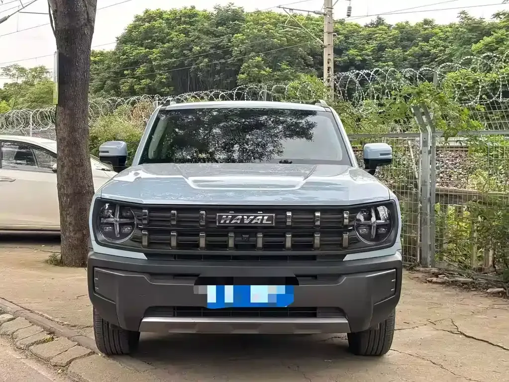 Haval Cool Dog 2022 из CN, фото 6
