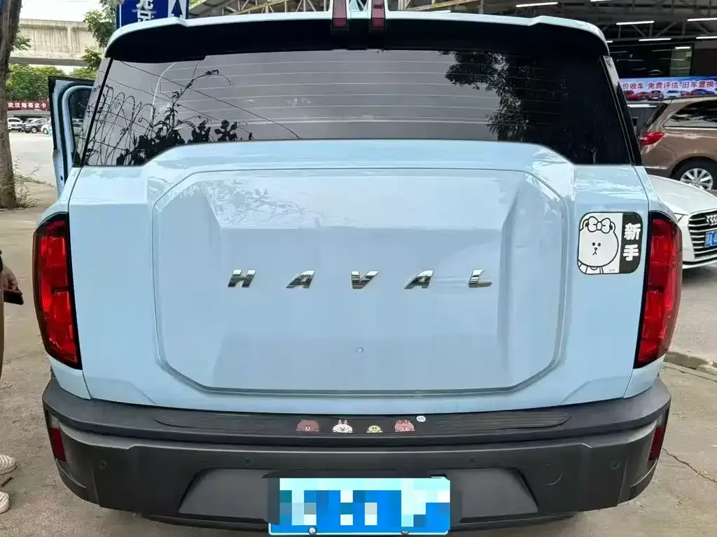Haval Cool Dog 2022 из CN, фото 5