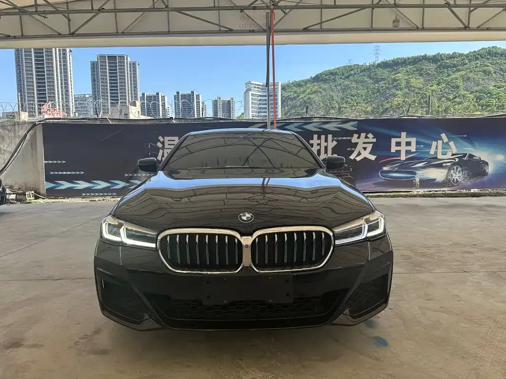 BMW 5 Series 2023 из CN, фото 7