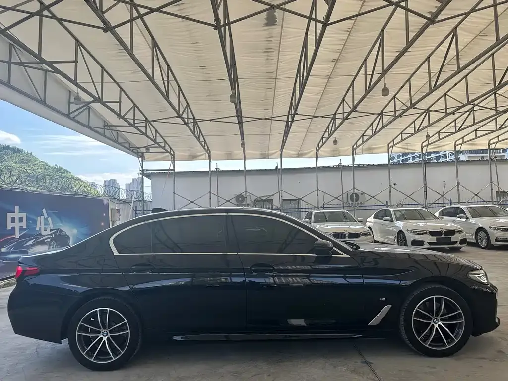 BMW 5 Series 2023 из CN, фото 3