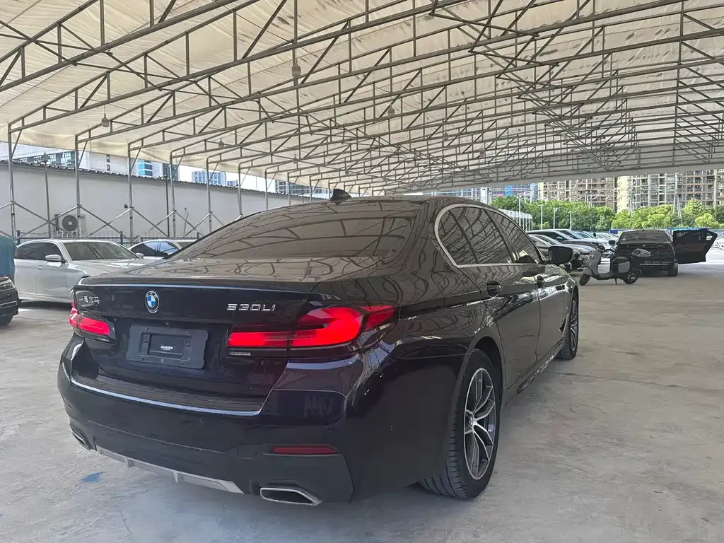 BMW 5 Series 2023 из CN, фото 9