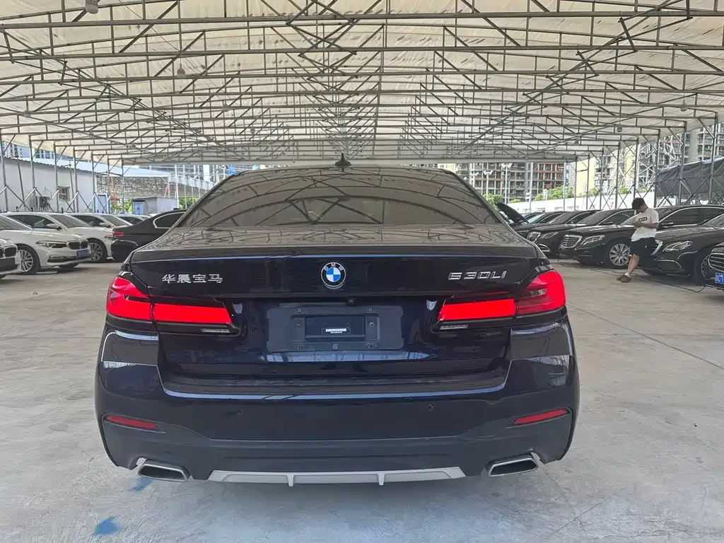 BMW 5 Series 2023 из CN, фото 4