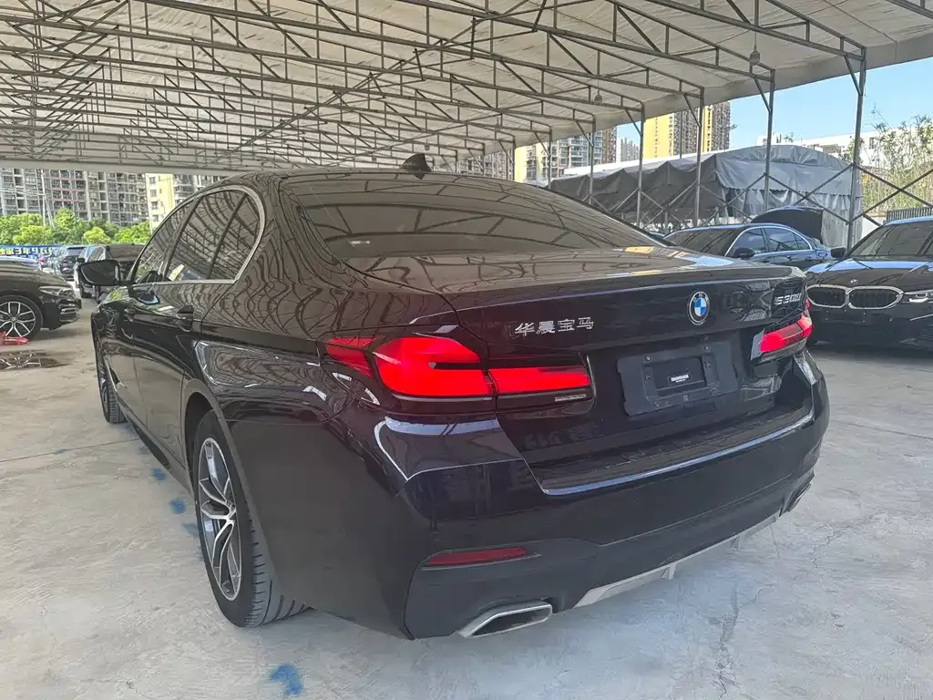 BMW 5 Series 2023 из CN, фото 8