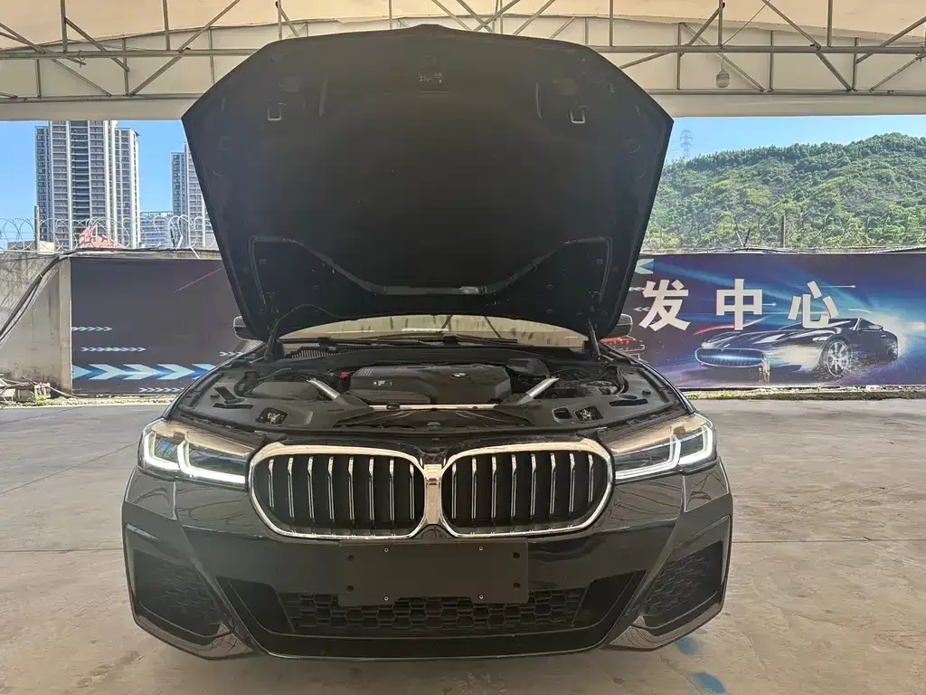 BMW 5 Series 2023 из CN, фото 10
