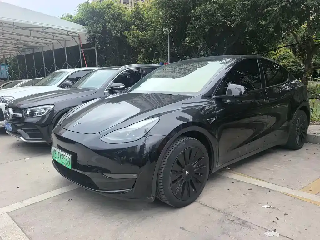 Tesla Model Y — фото 1