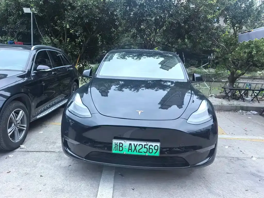 Tesla Model Y — фото 9