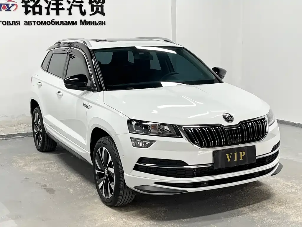 Skoda Karoq — фото 8
