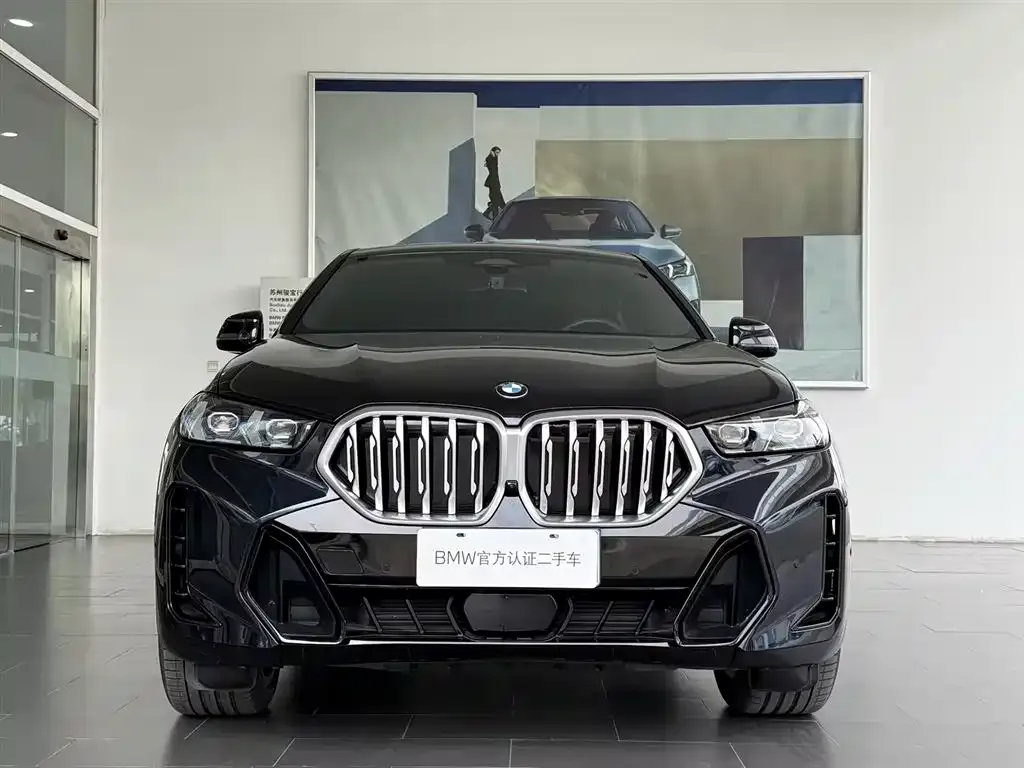 BMW X6 — фото 2