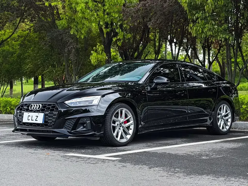 Audi A5 (Import) — фото 9