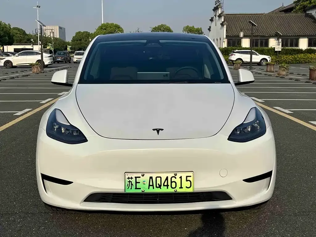 Tesla Model Y — фото 2