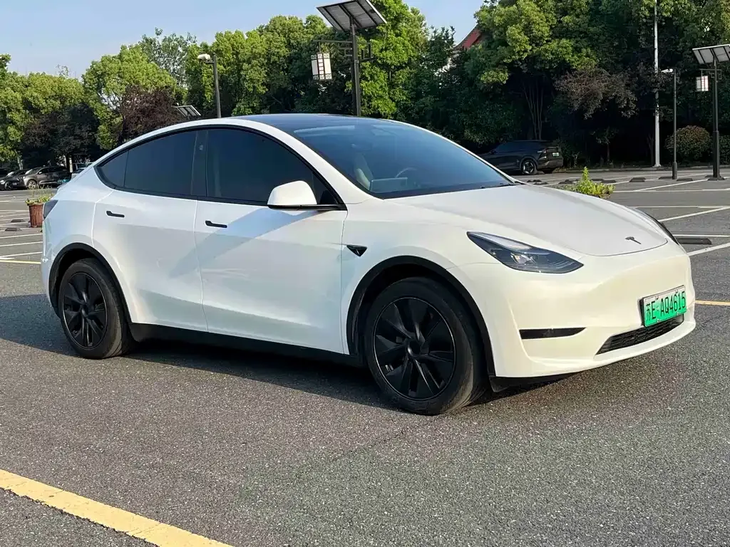 Tesla Model Y — фото 7