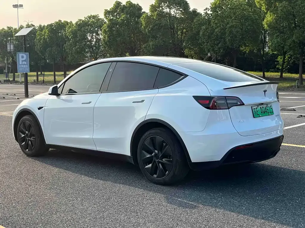 Tesla Model Y — фото 8