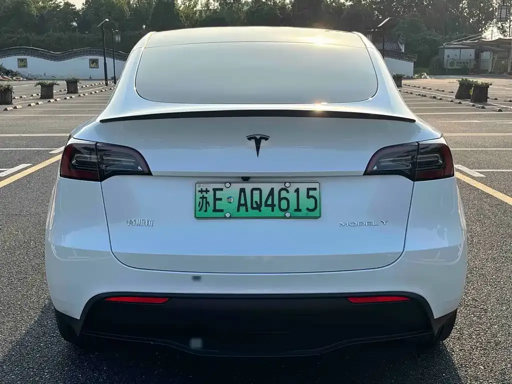 Tesla Model Y — фото 6