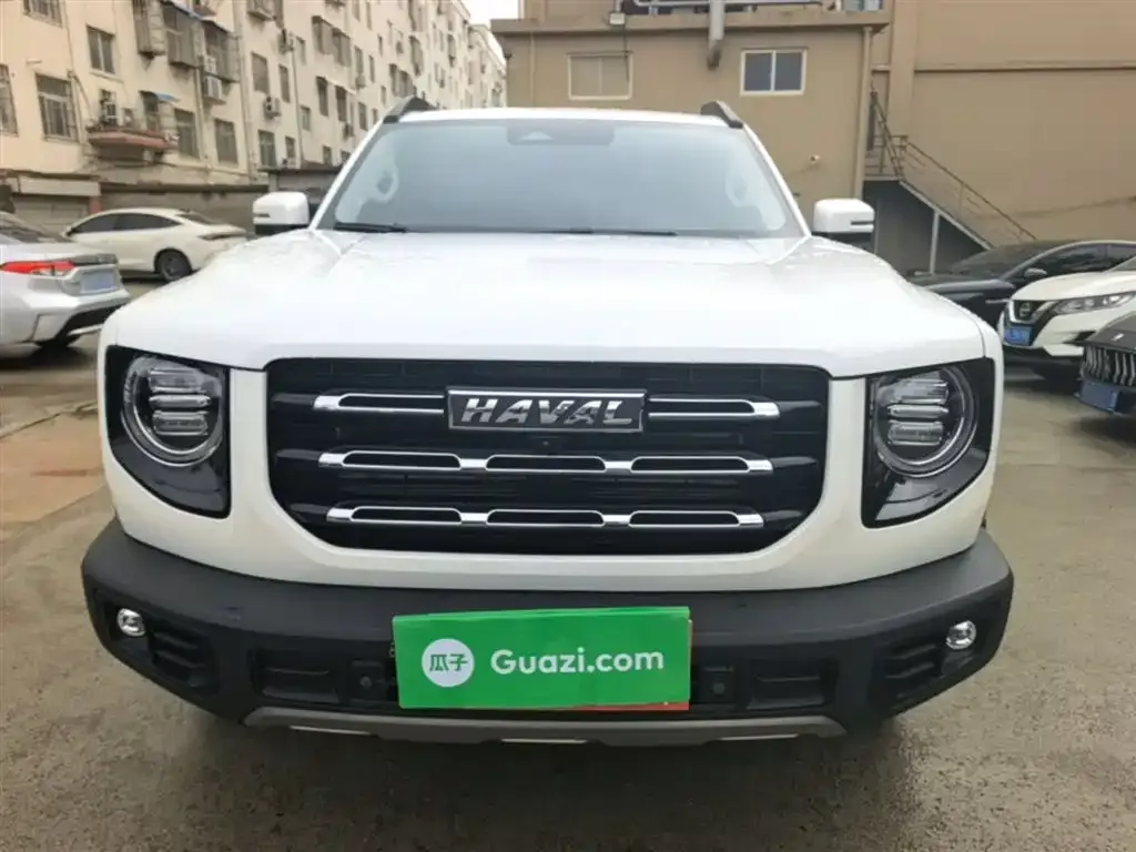 Haval Big Dog 2023 из CN, фото 4