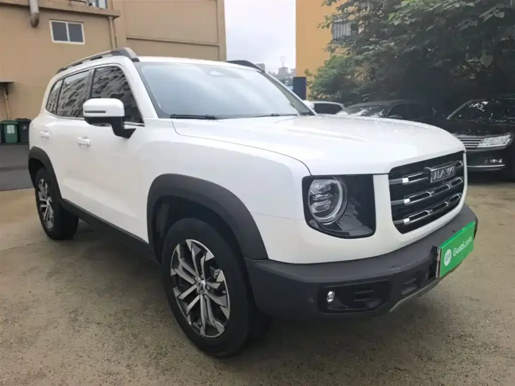 Haval Big Dog 2023 из CN, фото 8