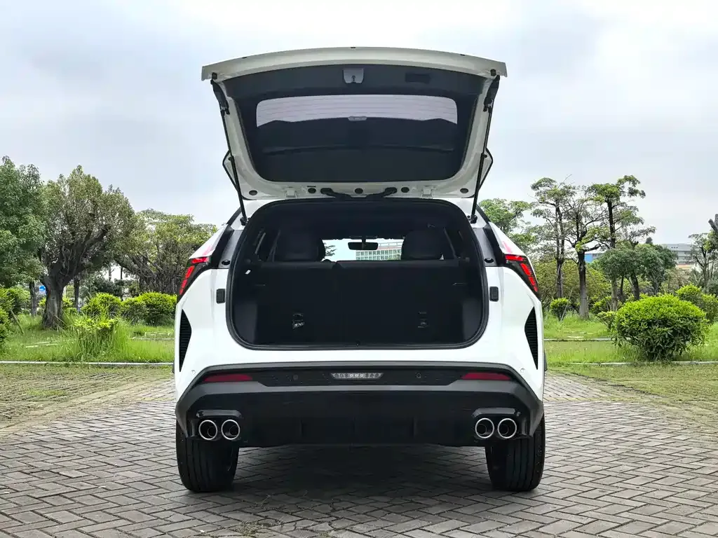 Geely Boyue 2024 из CN, фото 6