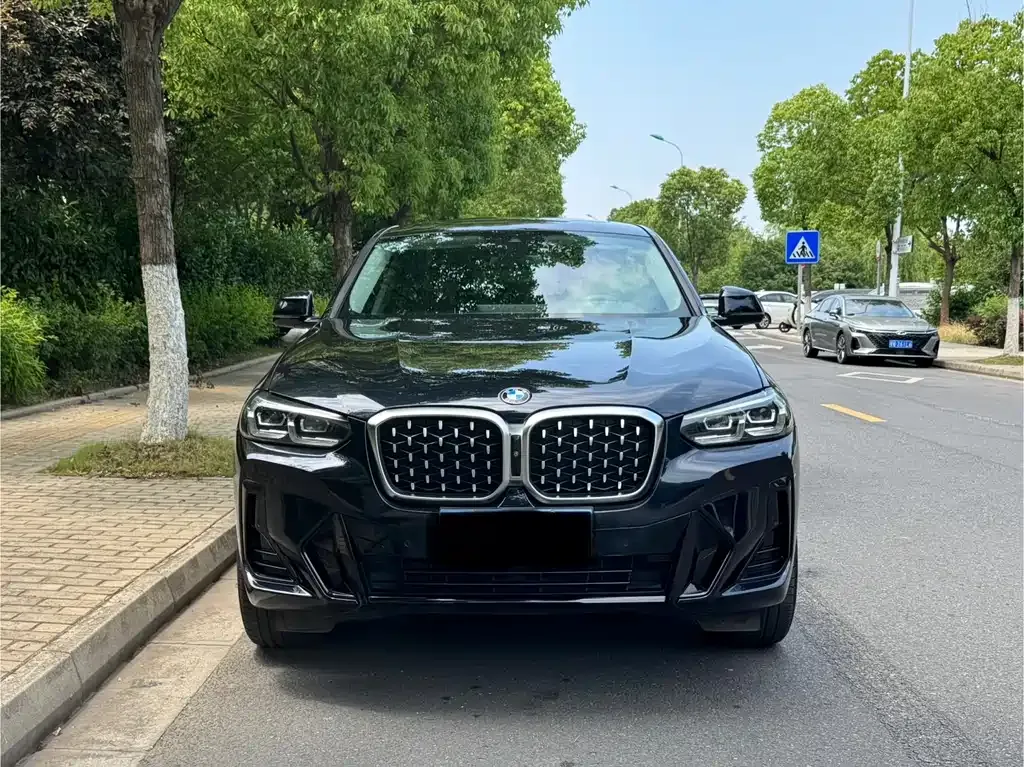 BMW X4 2022 из CN, фото 7