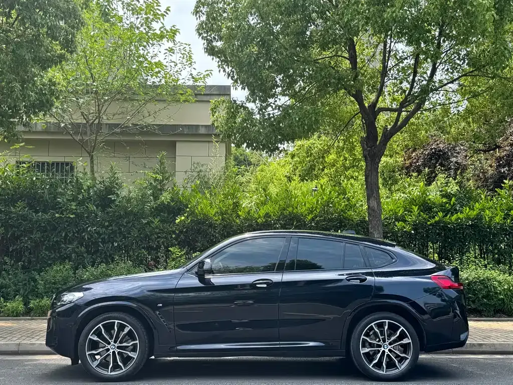 BMW X4 2022 из CN, фото 3
