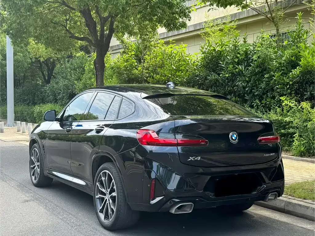 BMW X4 2022 из CN, фото 6