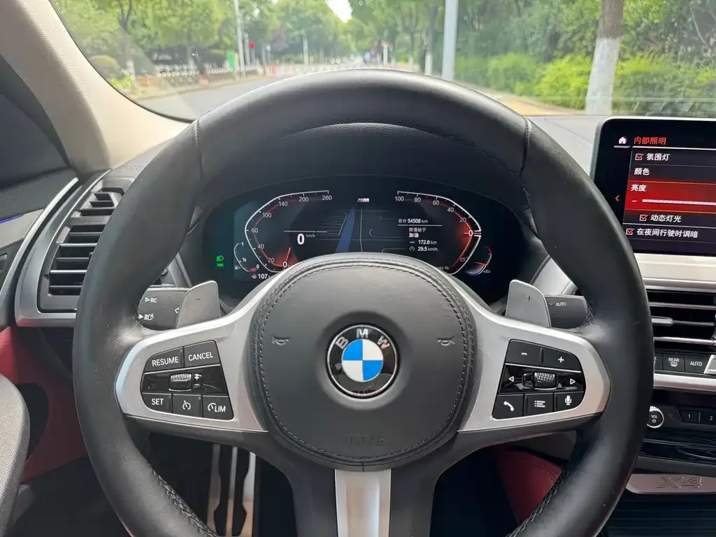 BMW X4 2022 из CN, фото 8