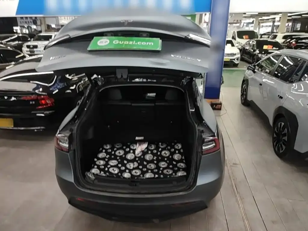 Tesla Model Y — фото 3