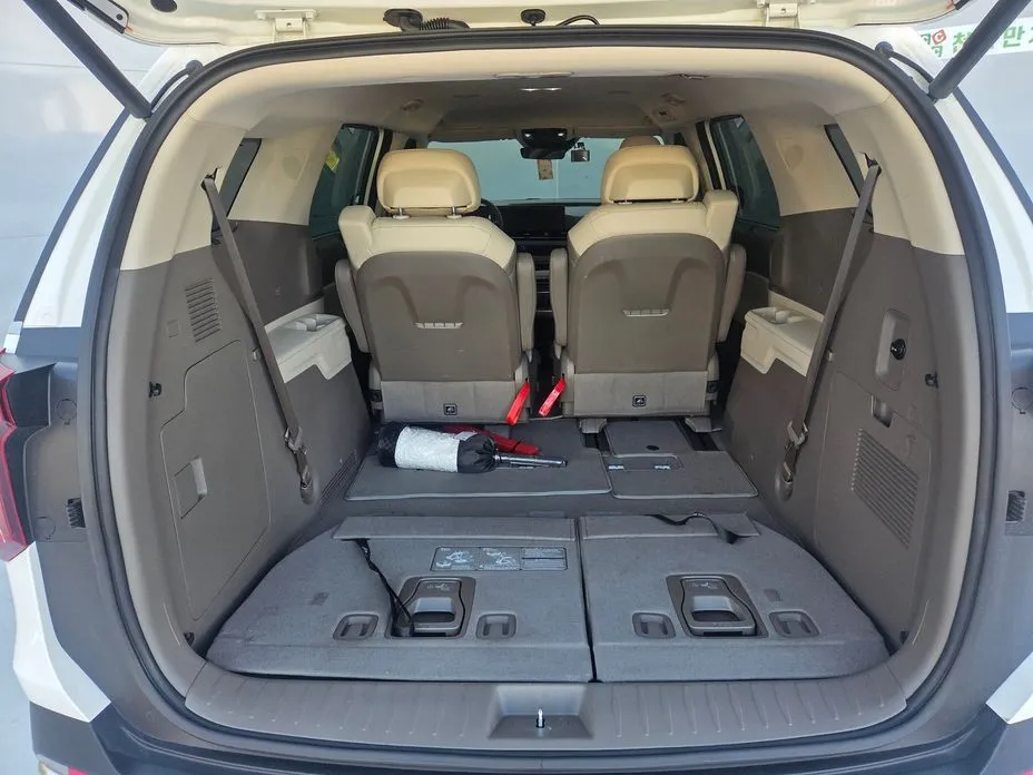 Kia Carnival — фото 10
