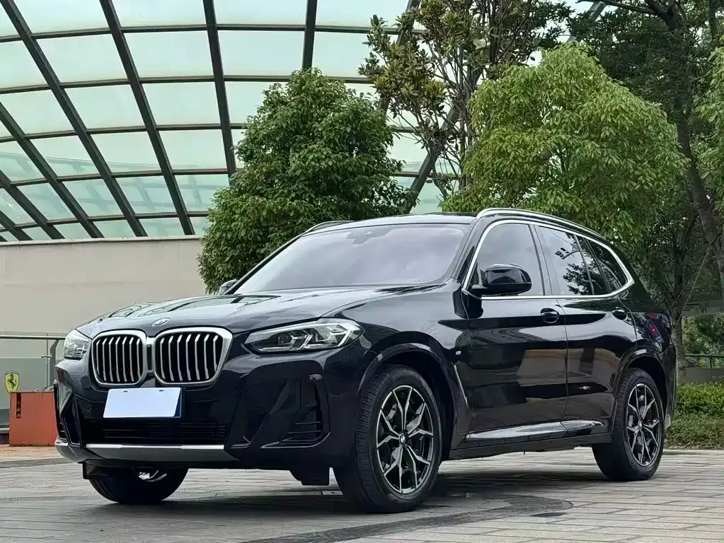 BMW X3 — фото 1
