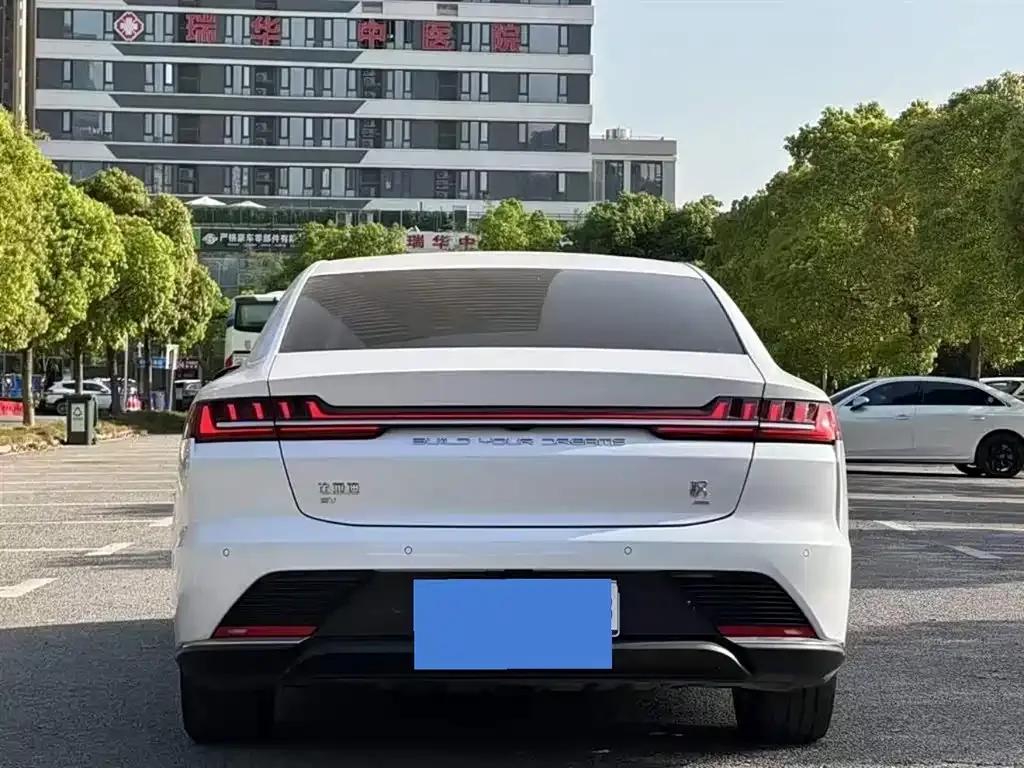 BYD Han 2021 из CN, фото 6
