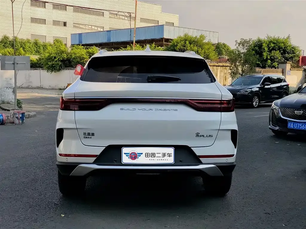 BYD PLUS New Energy 2023 из CN, фото 9