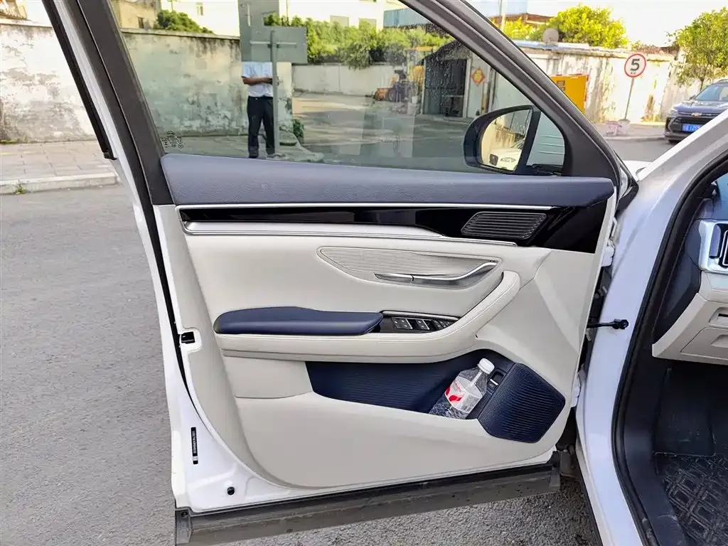 BYD PLUS New Energy 2023 из CN, фото 3