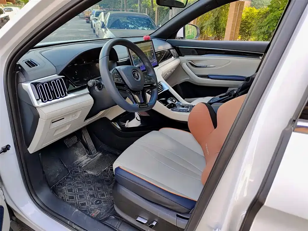 BYD PLUS New Energy 2023 из CN, фото 10